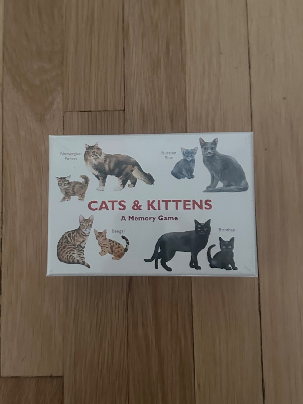 Cats and kittens card game